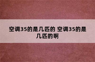 空调35的是几匹的 空调35的是几匹的啊